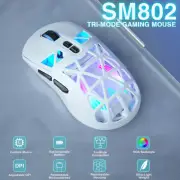 Wireless Gaming Mouse 10000 DPI Replaceble Switch RGB