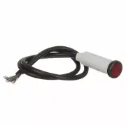 Seachoice 09861 Incandescent Red Indicator Light ? 6 Inch Lead Wires ? 14V ? ...