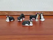 5 Dollhouse Cats Black & White Tuxedo Kittens 1:12 Scale Animals Pets