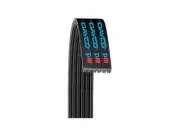 Dayco 79RM49H Main Drive Multi Rib Belt Fits 2008-2009 Audi TT Quattro 3.2L V6