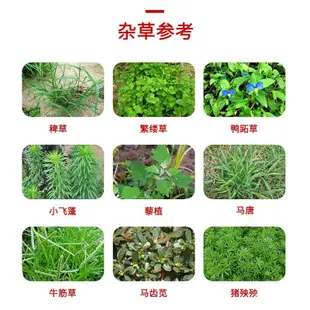 除草劑濃草達11%精草銨膦銨鹽150剋可溶液劑 除雜草牛筋草小飛蓬