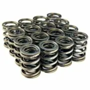 BLOX Dual Valve Springs for K20A2-3 Z1-3 (2.0L i-VTEC) / K24A-3 (2.4L i-VTEC) (for: Honda)