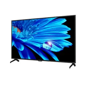 【SHARP 夏普】65吋 GOOGLE TV 4K聯網液晶顯示器/無視訊盒(4T-C65FK1X)