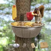 Squirrel Feeder Bowl with Drainage Holes 8.5" Removable Metal 2 Corn Spikes