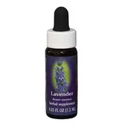 Fes Quintessentials Lavender 7.5ml