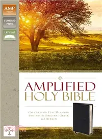 在飛比找三民網路書店優惠-Holy Bible ― Amplified Holy Bi