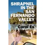 SHRAPNEL IN THE SAN FERNANDO VALLEY