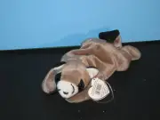 Beanie Babies Ringo the Raccoon New with Tag