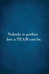 在飛比找博客來優惠-Nobody Is Perfect But A Team C