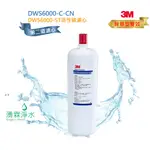 3M DWS6000-ST 智慧型雙效淨水器專用第二道活性碳濾心