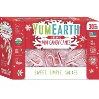 在飛比找蝦皮購物優惠-🎄Yumearth 🧑‍🎄單支 ⛄️聖誕迷你拐杖糖 聖誕節棒