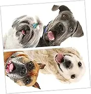 HOMOBABE 2Pcs Dog House Door Stickers PVC Self Adhesive Wall Decals for Home Bedroom Living Decorative Dog Wall Stickers for Rooms Easy to Apply and Remove