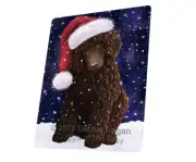 Let it Snow Christmas Holiday Poodle Brown Dog Woven Throw Sherpa Blanket T248