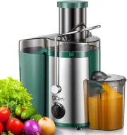 Juicer Fruit Vegetable Extractor 500W Centrifugal Juice Citrus Machine BPA Free