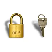 003 Padlock and Key with Shackle 25mm (32x29x13mm)