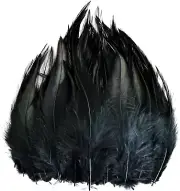 120Pcs 5-7" Black Feathers for Crafts，Saddle Hackle Feather，Rooster Feathers Bul