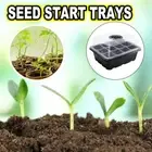 12 Holes Seed Grow Planter Box Greenhouse Garden Plant Seeding Tray (Black) Hot