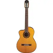 TAKAMINE LEFT H AC/EL CLASSIC