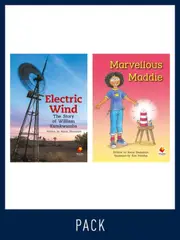 Flying Start Guided Reading Level 30, Pack 3