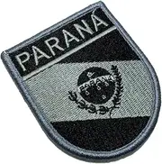 [BR44] BE0174EV02 Paraná Brazil Flag Embroidered Patch Gold Border Uniform Kart Kimono, Hook Fasteners Attach to Tactical Hats and Gears