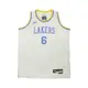 NIKE NBA Classic Edition 青少年球衣 湖人隊 LeBron James-WZ2B7BU7P-LAK06