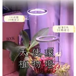 台灣現貨 植物補光燈E3-1 植物燈 燈 多肉植物 植物生長燈 室內植物 多肉植物燈 多肉燈 LED植物燈 植物燈全光譜