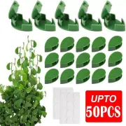Invisible Plant Climbing Wall Clip Pothos Vine Ratten Fixt Sticky Hook Wire Clip