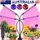 AU 4Head LED Grow Light Plant Light Panel Growing Plant Veg Flower Indoor Lamp