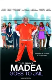 Tyler Perry’s Madea Goes to Jail Widescreen DVD Brand New Sealed
