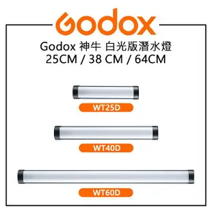 EC數位 GODOX 神牛 25CM 38CM 64CM 白光版潛水燈 WT25D WT40D WT60D IP68防水