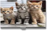 [LQPMNK] Metal Card Case, Kittens Family Cats Print Professional Card Case Premium Card Case Lightweight Card Holder Pocket Card Case, Style