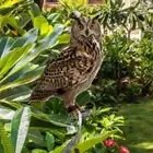 Hanging Bird Repel Scare Devices Owl Scarecrow Bird Repeller Balcony