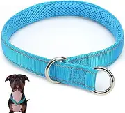 Slip Collar for Dogs, 24 Inch Reflective Choke Collar for Dogs, Soft Nylon Dog Slip Collar with Metal Buckle, Portable Dog Chain Collars,Choke Collar for Dogs,Slip Collar for Dogs