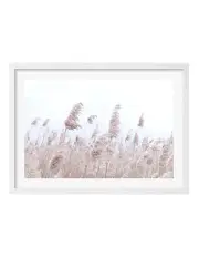 [Profile Australia] Australian Made Pampas Grass 1 Art Print A1 Frame in White