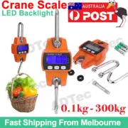 Mini Portable Crane Scale LCD Digital Electronic Hook Hanging Scale 300kg 0.1 kg