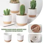 Containers Indoor Self Watering Flower Pot Orchid Pots With Drainage Hole