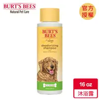 在飛比找ETMall東森購物網優惠-Burts Bees 小蜜蜂爺爺 蘋果迷迭香沐浴露 16oz