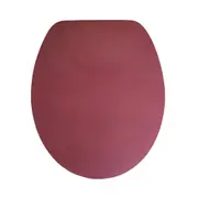 Rose Metallic Pink Girly Glam Soft Close Toilet Seat