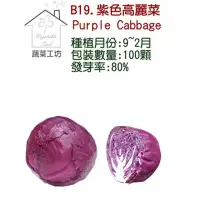 在飛比找momo購物網優惠-【蔬菜工坊】B19紫色高麗菜種子