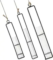 CAXUSD 3pcs Hydroponic Flower Holders Decorative Wall Hangers for Indoors Wall Planter Containers with Sturdy Rope for Office Decor Glass Vases for Plant Display