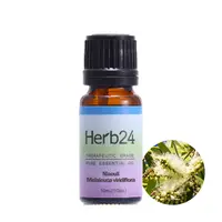 在飛比找PChome24h購物優惠-【草本24。Herb24】綠花白千層 純質精油 10ml