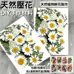 【A-ONE】超值乾燥壓花包 乾燥花材料包 DIY花材 花藝材料 乾燥花 永生花 香薰蠟燭 浮油花 壓花 花材