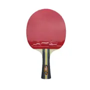DHS Special 2*DHS3002 Pair 6 Star Table Tennis Bat / Ping Pong Racket Paddle Long Handle