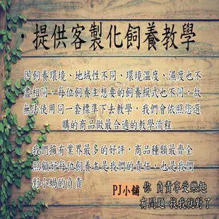 PJ小舖 白玉蝸牛 無毒 粗糠 飼養寵物用 白玉蝸牛 底材 蝸牛 倉鼠 小白鼠 寵物鼠