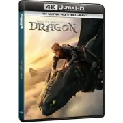 How to Train Your Dragon 4K Ultra HD (includes Blu-ray)