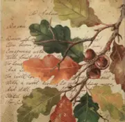 "New" 3 Paper Napkins for Decoupage/Scrapbooking/Craft-OAK AT AUTUMN
