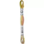 DMC Coloris 6-Strand Embroidery Cotton Floss 8.7yd-Frosted Countryside