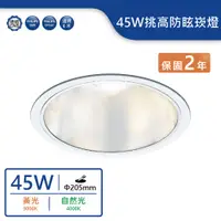 在飛比找蝦皮商城優惠-【舞光.LED】45W挑高防眩崁燈(崁入孔20.5cm)(暖