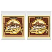 Ernie Ball Earthwood Banjo Strings 5-String Frailing 10 To 24 2061 2 Pack
