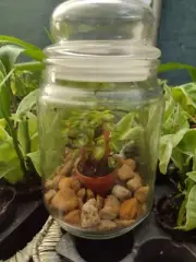 One of a Kind Gifts You put together...everything you need for this DIY